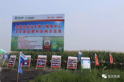 實踐檢驗真理，養土大業迎發展機遇；勇扛大旗，教育咨詢譜新篇