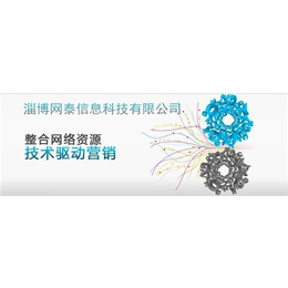 臨淄推廣新時代 網泰科技專業技術服務與代理合作新機遇